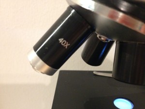 Mikroskop: Objektiv 40X
