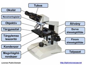 Mikroszkóp: felépítése / fö részei