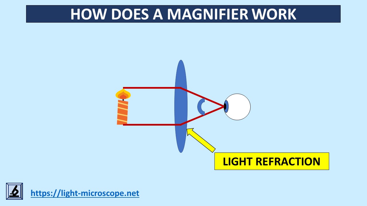 How does a magnifier work